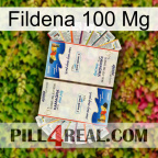 Fildena 100Mg kamagra1